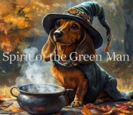 magical-dachshund-print