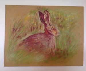 hare-picture2