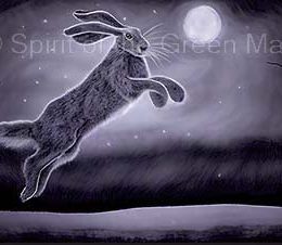 hare-leaping-in-air