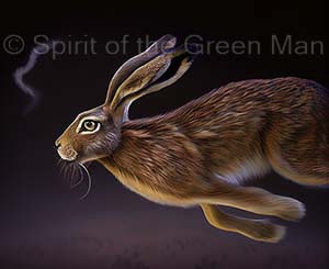 flying-hare