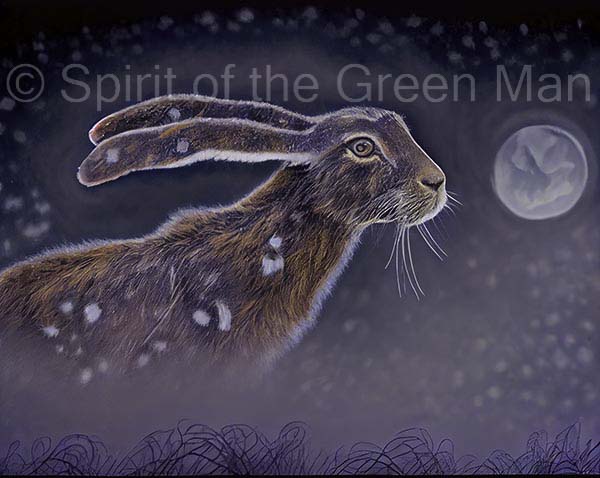 solstice-hare
